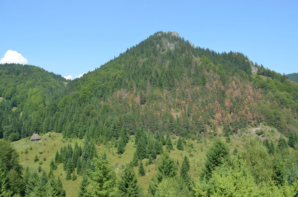 Varful Poienita